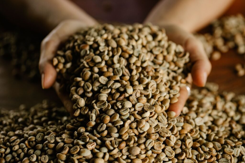 What Is Coffee? From Coffee Cherry to Green Bean — A Complete Guide​ pexels michael burrows 7125664